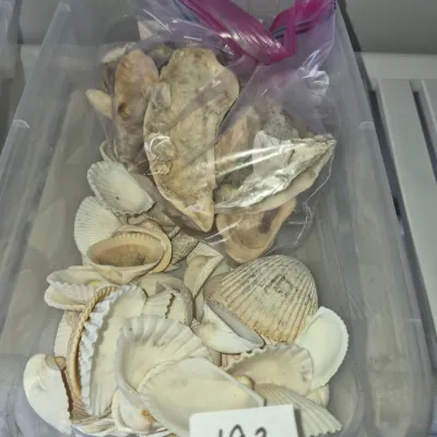 Sale Photo Thumbnail #340