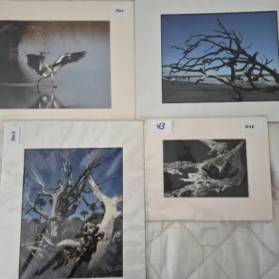 Sale Photo Thumbnail #74