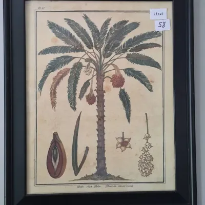 Sale Photo Thumbnail #107