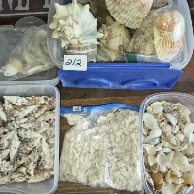 Sale Photo Thumbnail #379