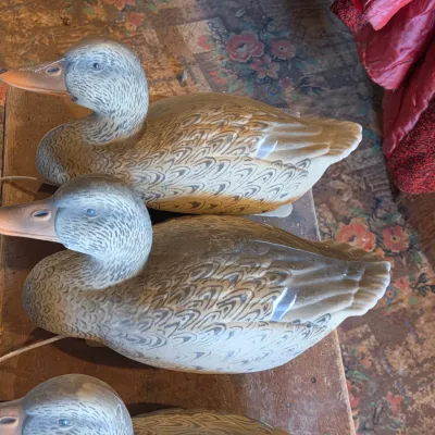 G & H 4 duck decoys 1 drake 3 hens