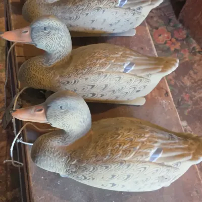 G & H 4 duck decoys 1 drake 3 hens