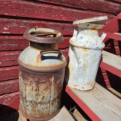 Two vintage & rustic milk cans