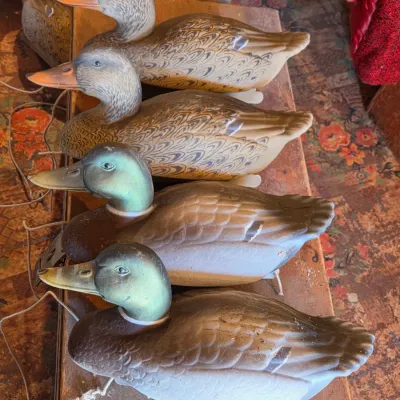 G & H Four duck decoys 2 drakes 2 hens