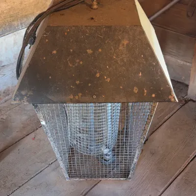 Large metal caged bug light