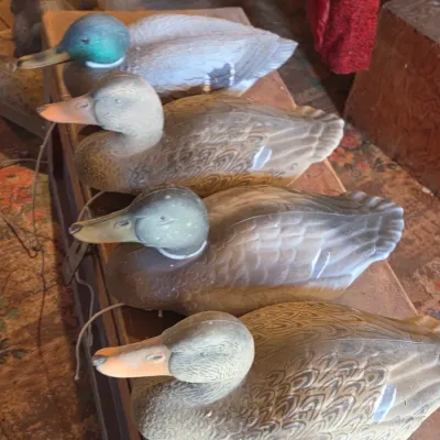 G & H Four duck decoys - Mallard ducks - 2 drakes 2 hens