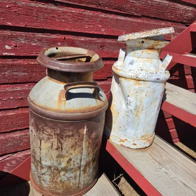 Two vintage & rustic milk cans