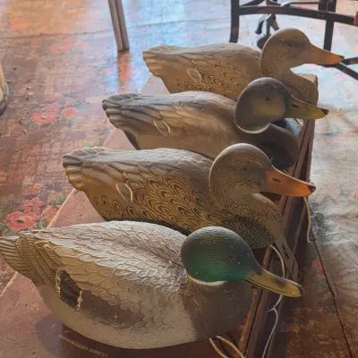 G & H Four duck decoys - Mallard ducks - 2 drakes 2 hens