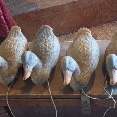G & H 4 duck decoys 1 drake 3 hens