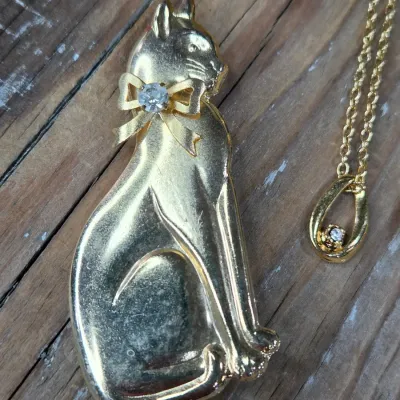 Ladie's Necklaces, cat pin, rings and earrings - Gold toned