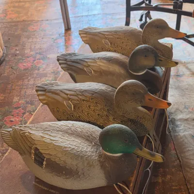G & H Four duck decoys - Mallard ducks - 2 drakes 2 hens