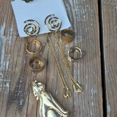 Ladie's Necklaces, cat pin, rings and earrings - Gold toned