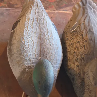 G & H Four duck decoys - Mallard ducks - 2 drakes 2 hens