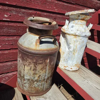 Two vintage & rustic milk cans