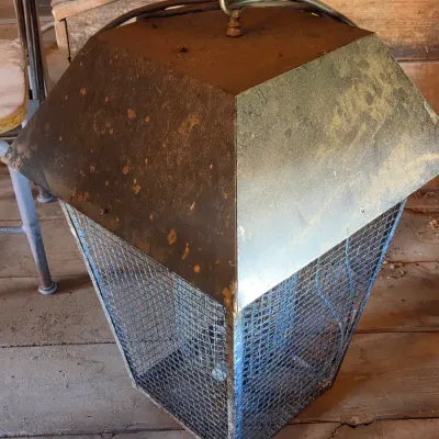 Large metal caged bug light