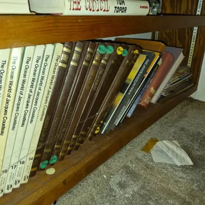 Sale Photo Thumbnail #894
