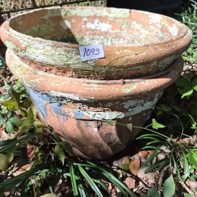 Sale Photo Thumbnail #1775