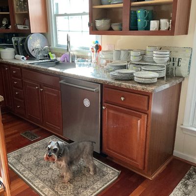 More kitchen items 