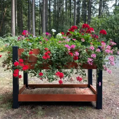 Contemporary Raised Wooden Garden Planter w/ Colorful Flowers #1