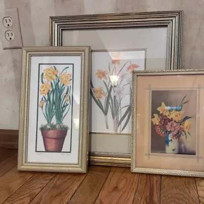 Collection Of Three Framed Botanical & Floral Art Prints w/ Yellow Daffodils