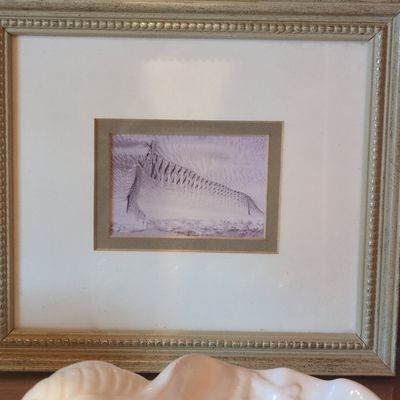 Sale Photo Thumbnail #86