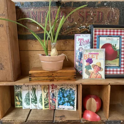 Sale Photo Thumbnail #123
