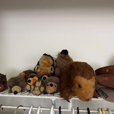 Sale Photo Thumbnail #151
