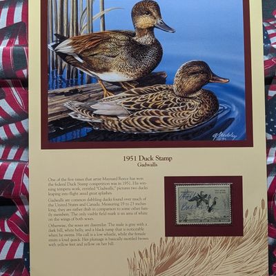 Sale Photo Thumbnail #406: 1951 Dept. Of Interior Duck Stamp, RW-18, Signed