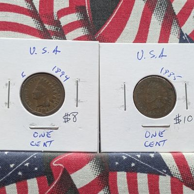 Sale Photo Thumbnail #167: 1885 & 1894 Indian Head Cents - Lower Mintage!