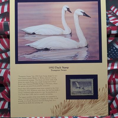 Sale Photo Thumbnail #405: 1950 Dept. Of Interior Duck Stamp, RW-17, Signed