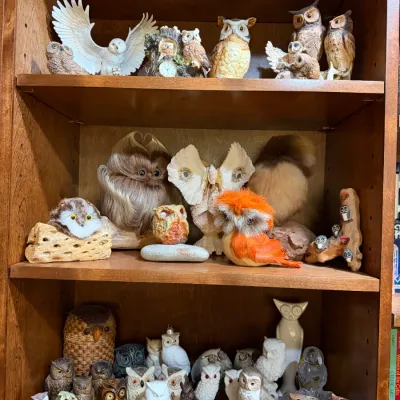 Sale Photo Thumbnail #68
