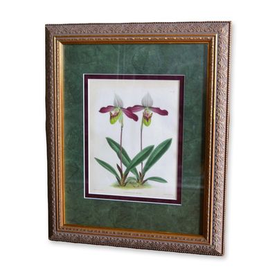 Sale Photo Thumbnail #48: J. Nugent Fitch HC Orchid Floral, Cypripedium Meirax, Museum Quality Frame, 19th C