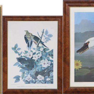Sale Photo Thumbnail #324: After John James Audubon, 1785-1851, Three Bird Prints