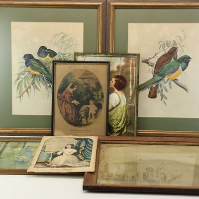 Sale Photo Thumbnail #307: Pair of Vintage Ornithological Bird Prints