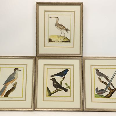 Sale Photo Thumbnail #274: Group of Four Framed Ornithological Engravings