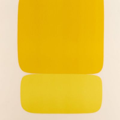 Sale Photo Thumbnail #23: Ellsworth Kelly "Jaune sur Jaune" Lithograph 1964