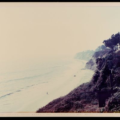 Sale Photo Thumbnail #152: Richard Misrach "Untitled (Santa Barbara)" Photo
