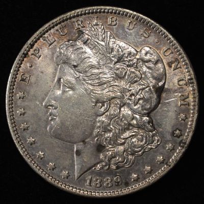 Sale Photo Thumbnail #393: 1889 MORGAN DOLLAR