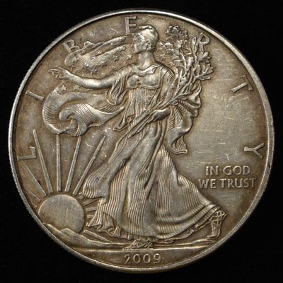 Sale Photo Thumbnail #102: 2009 AMERICAN SILVER EGALE