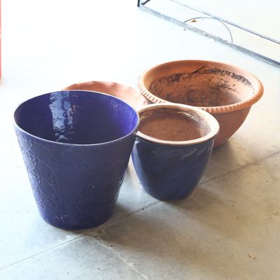 An Assortment of Ceramic and Terracotta Garden Planters