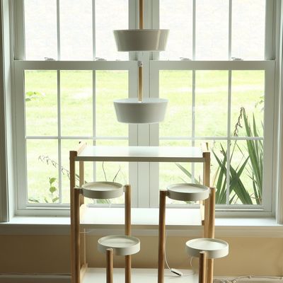 A Collection of Contemporary Minimalist Plant Stands and Shelving Units