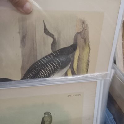 Sale Photo Thumbnail #204