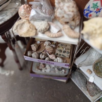 Sale Photo Thumbnail #314
