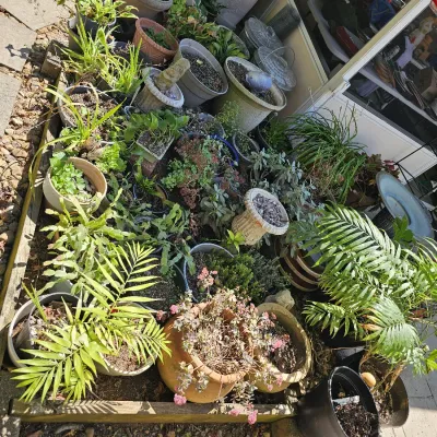Sale Photo Thumbnail #47
