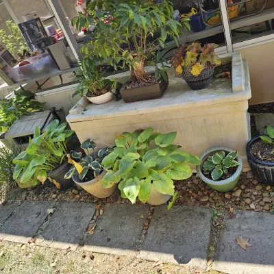 Sale Photo Thumbnail #49