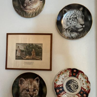 Sale Photo Thumbnail #56