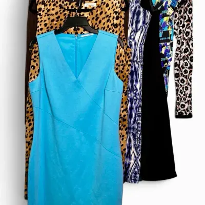 Tahari, Calvin Klein, BCBG, Ellen Tracy & Anne Klein Dresses: Size L-16