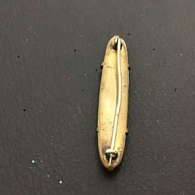 Victorian Hand painted CClasp Porcelain