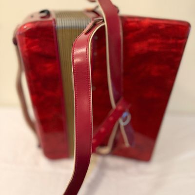 Hohner Accordion with Hard Case (G-MG)
