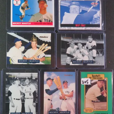 Sale Photo Thumbnail #666